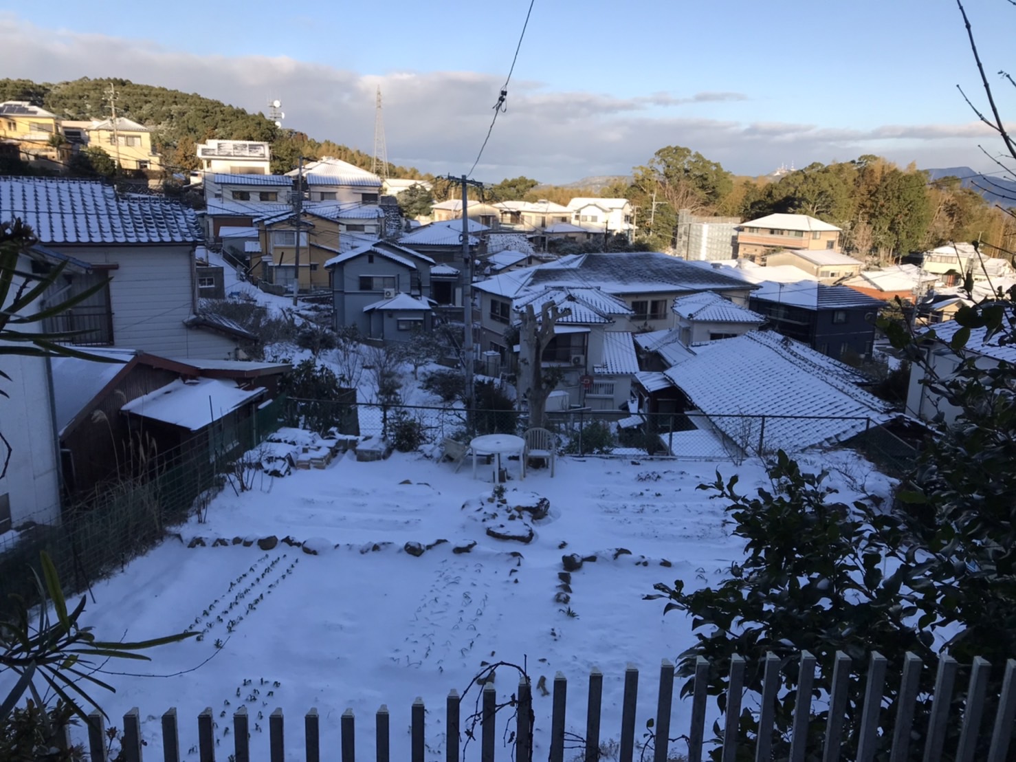 長崎雪