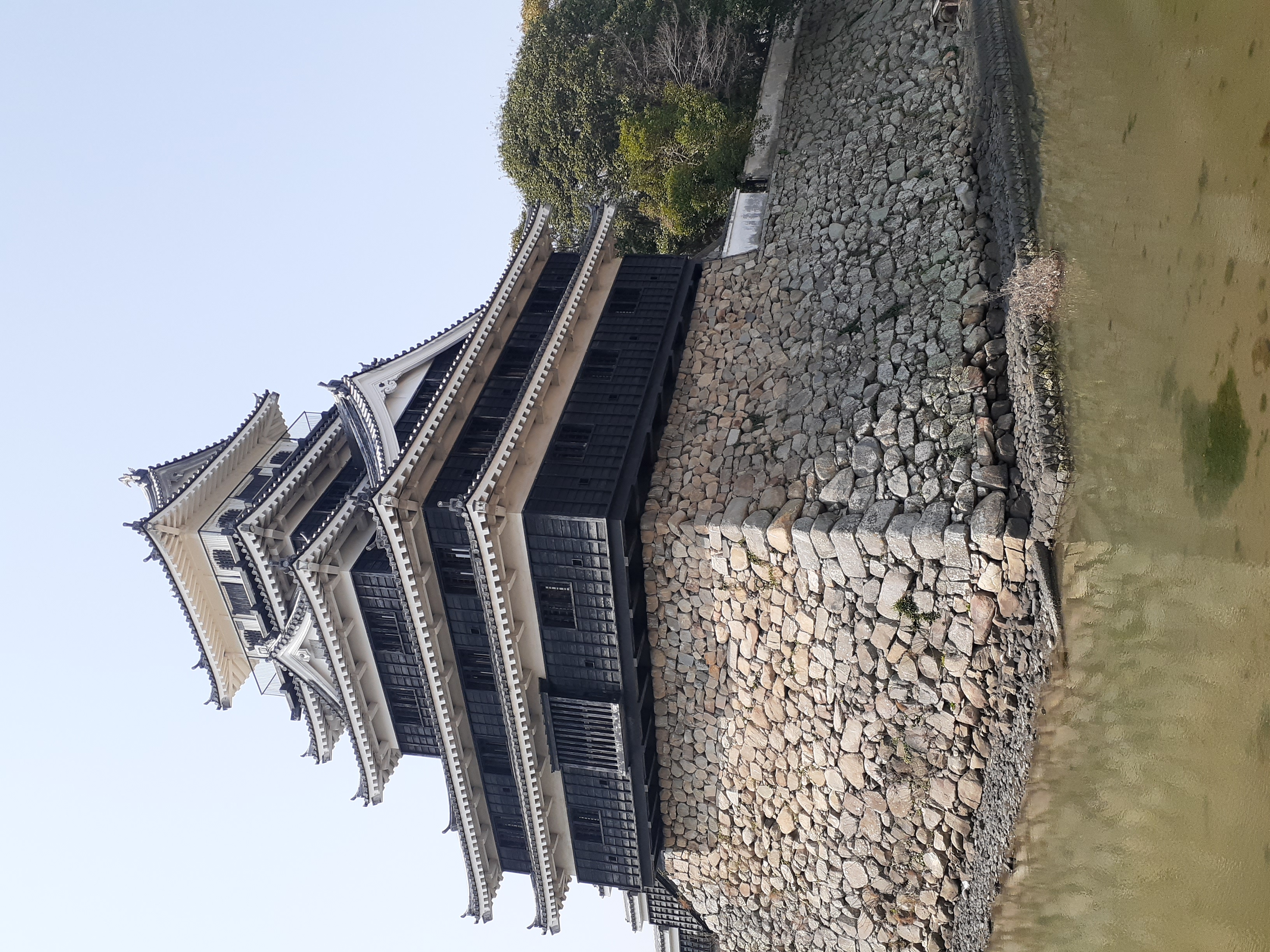 tおし